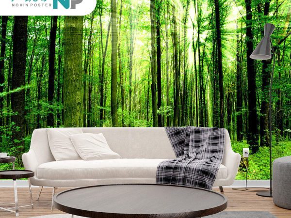 پوستر دیواری جنگل 1520_67712fe067d14.jpeg