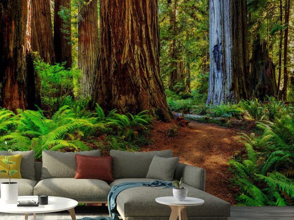 پوستر دیواری درختان جنگلی 1535_6779f2a84908d.jpeg