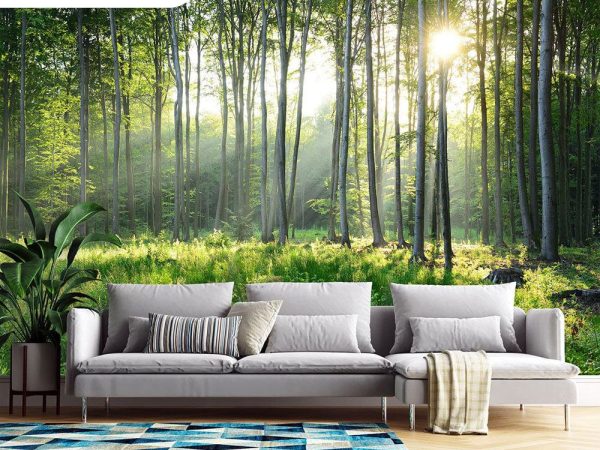 پوستر دیواری طرح جنگل 4082_6779940e61210.jpeg