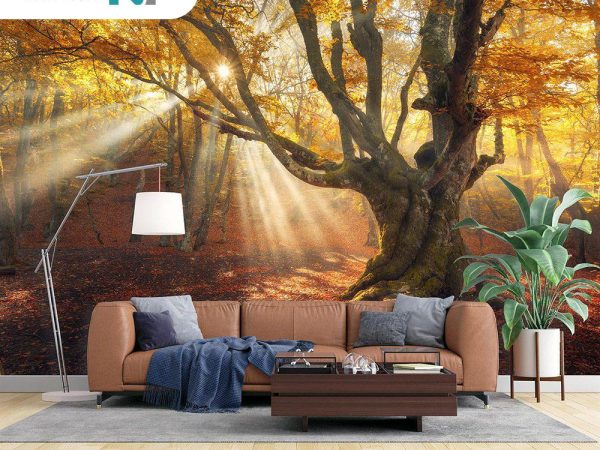 پوستر دیواری طرح جنگل پاییزی 2537_67798103e30cb.jpeg