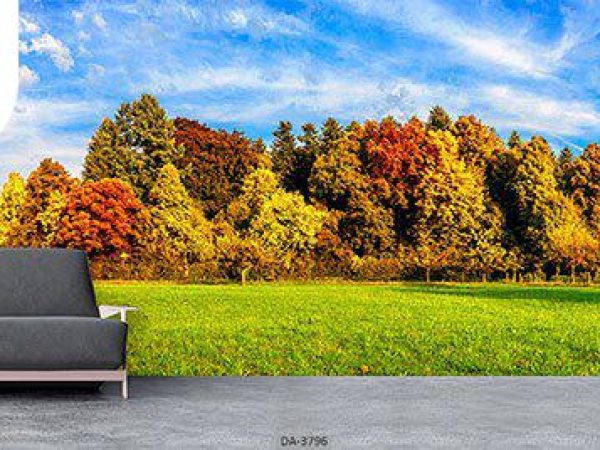 پوستر دیواری طرح طبیعت 3796_6779cf379b4e9.jpeg